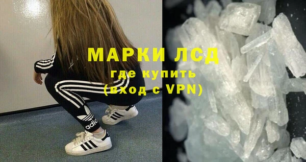 шишки Инта