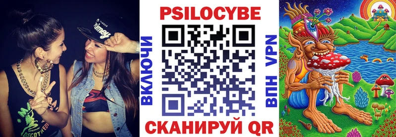 наркота  Санкт-Петербург  Псилоцибиновые грибы Psilocybe 