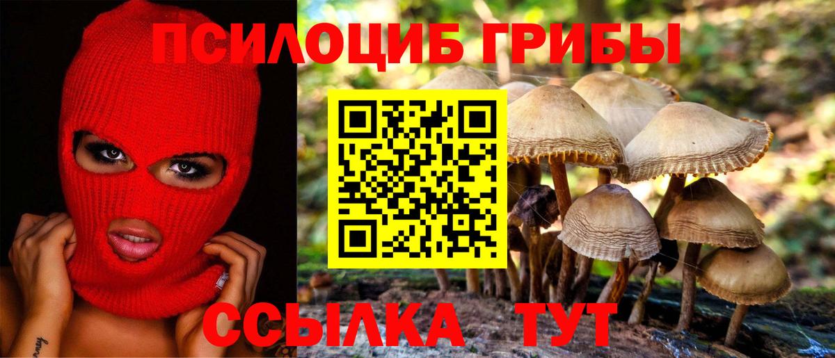 Санкт-Петербург  Псилоцибиновые грибы MAGIC MUSHROOMS  Вход с VPN 