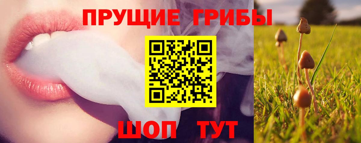 Псилоцибиновые грибы ЛСД Санкт-Петербург